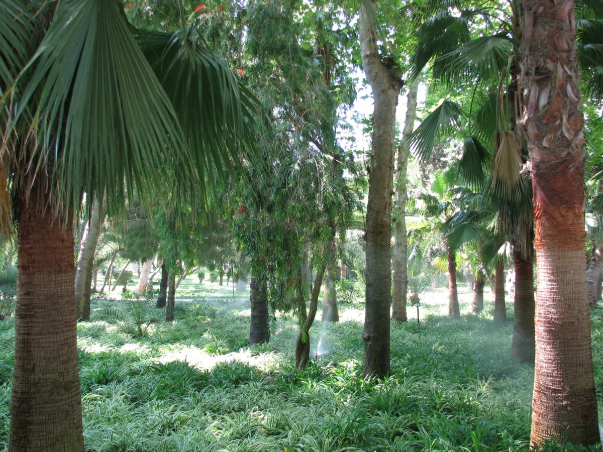 imagini hotel DELPHIN BOTANIK